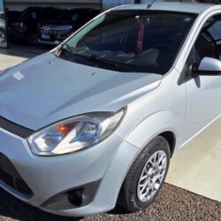 FIESTA HATCH 2014_1