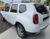 DUSTER 2019_3